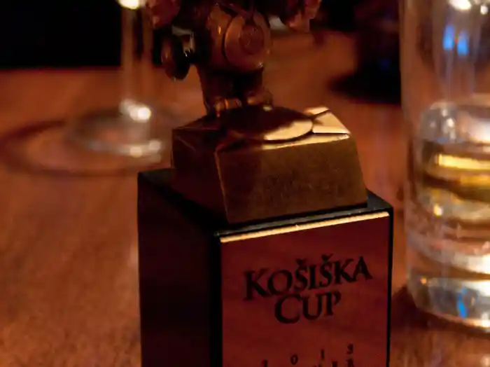 Košiška Cup 2013