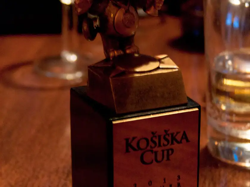 Košiška Cup 2013