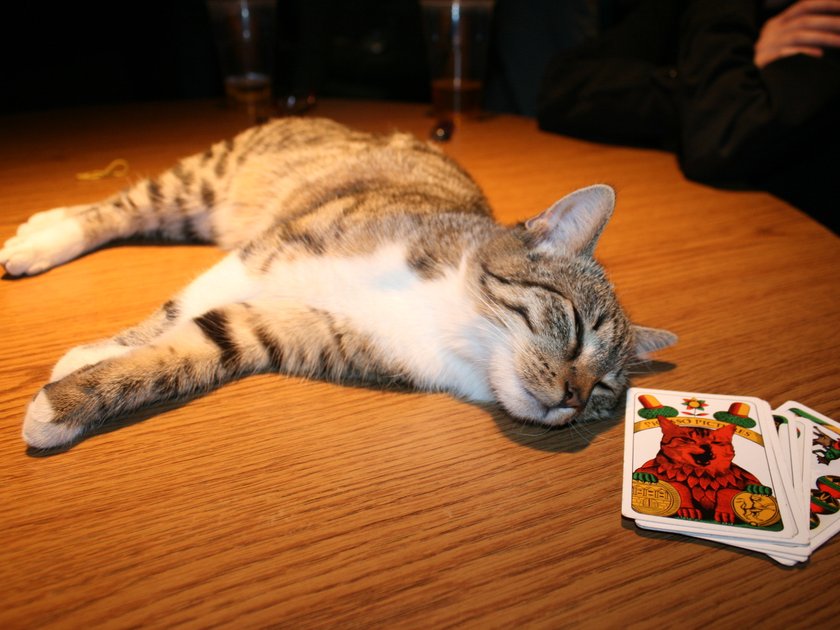 052-chingiss-meets-picasso-2