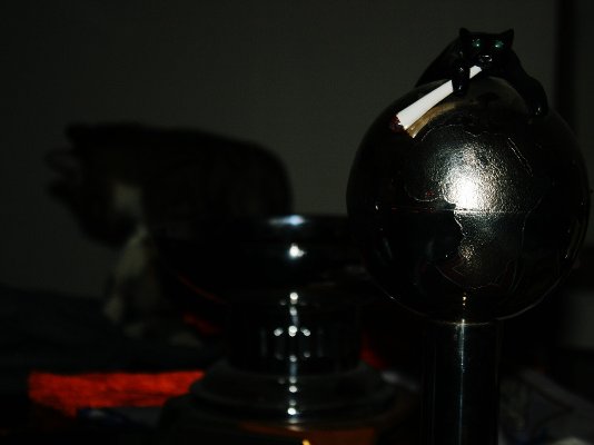 055-chingiss-a-picassotrophy