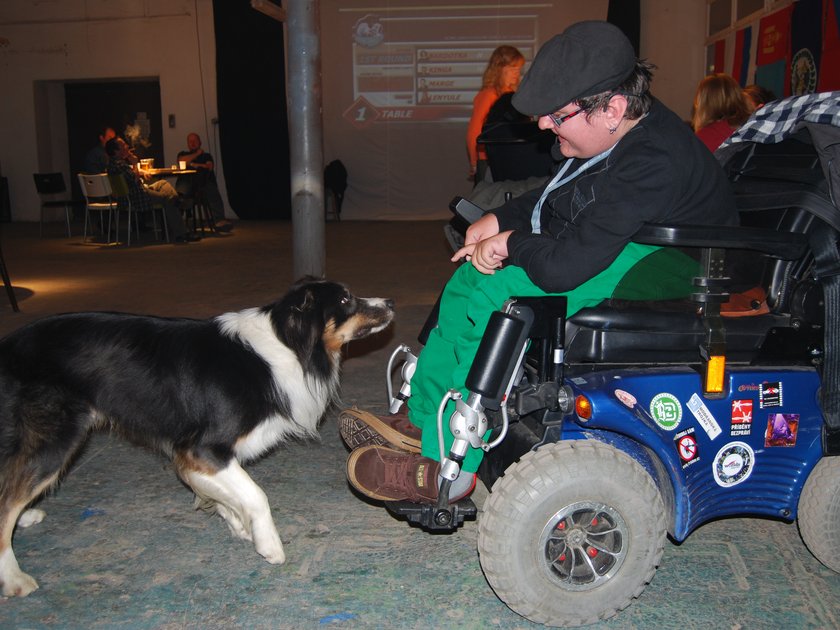 Smoking Cat World Series 2010