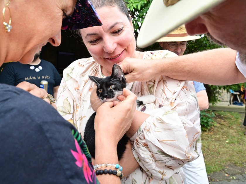 Désert Dessert 2025