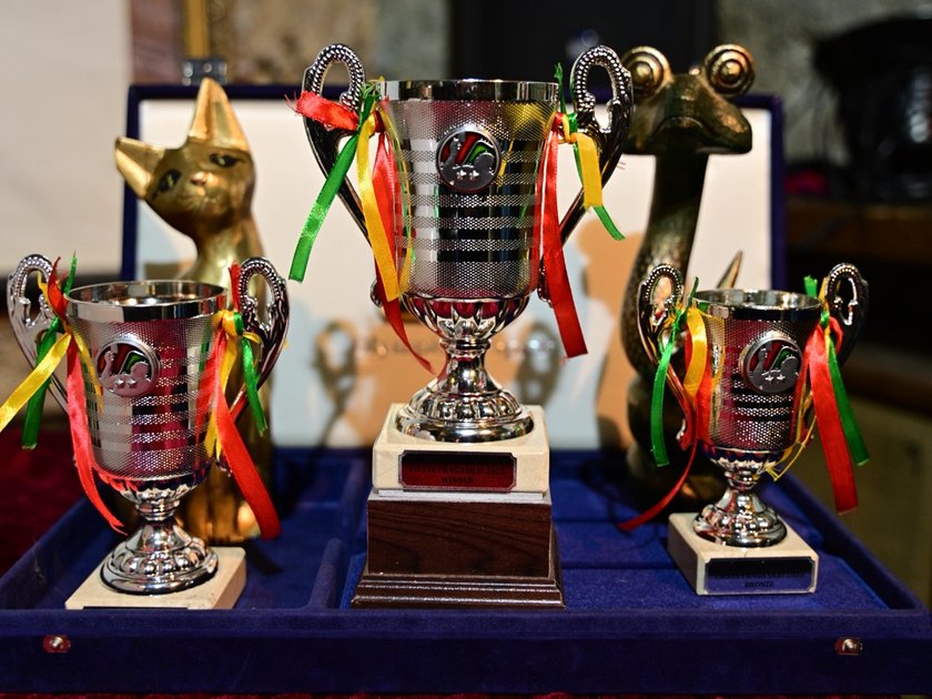 Fiesta Praga Olé! 2025 (National Tour) - trofeje