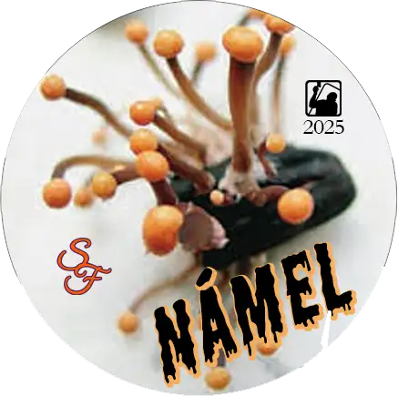 September Fest - Námel