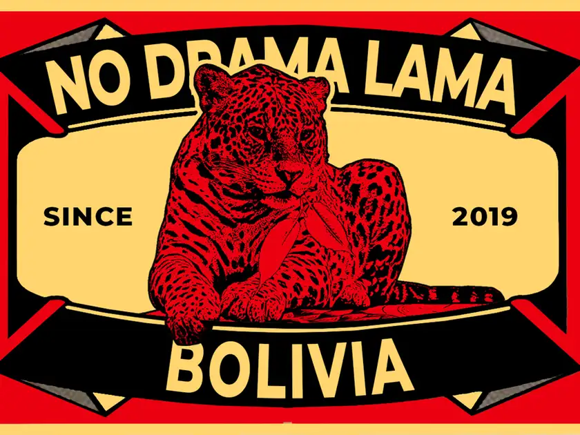 BOLIVIA matches