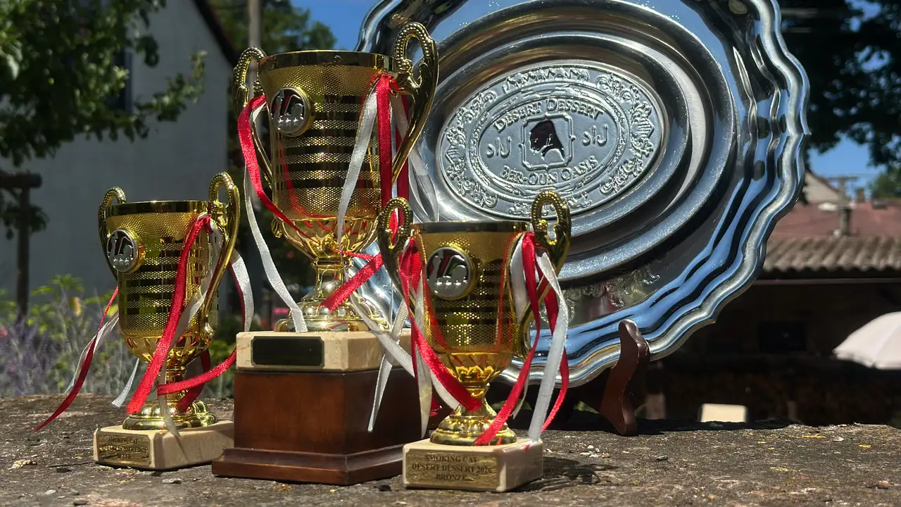 DD 2026 trofeje