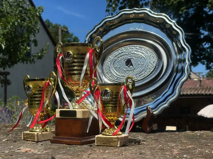 DD 2026 trofeje