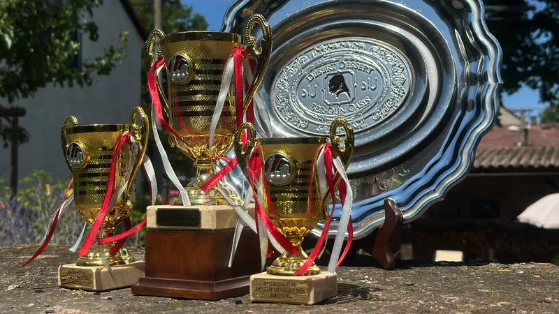 DD 2026 trofeje