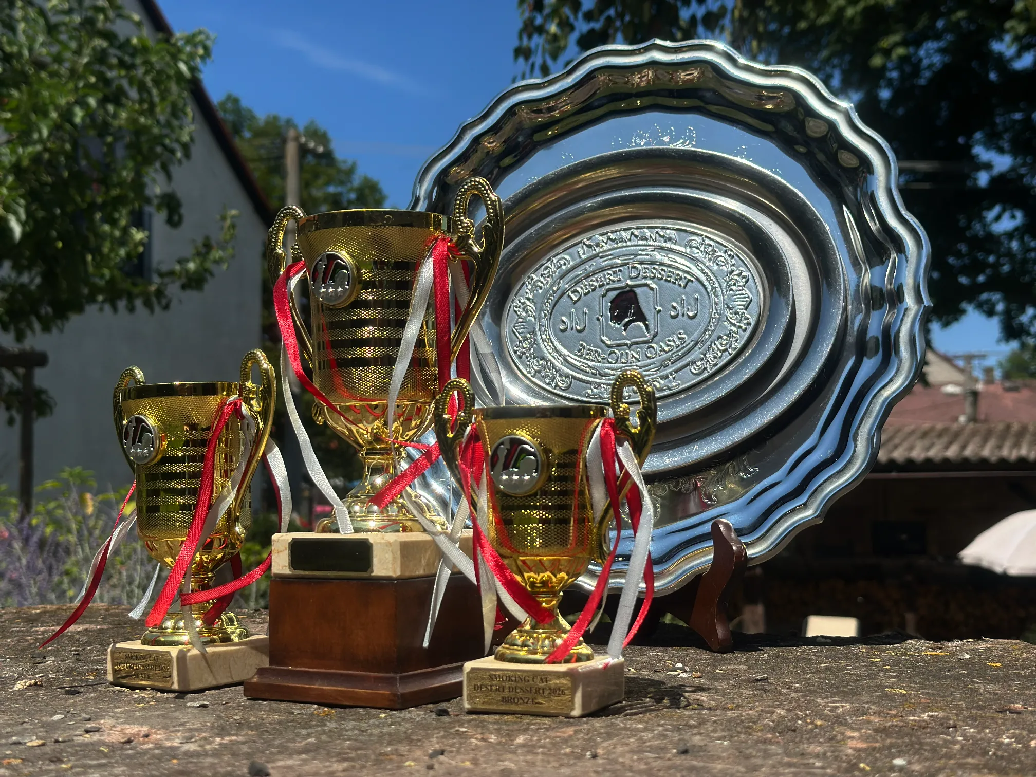 DD 2026 trofeje