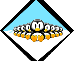 klub-03--See Elephants Antarctica