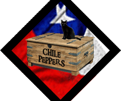 klub-20--ChilePeppers Santiago