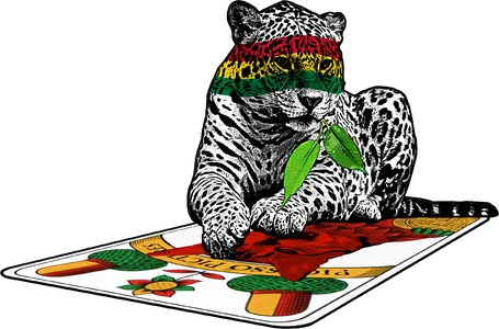 klub-48--No Stresaran Santa Cruz