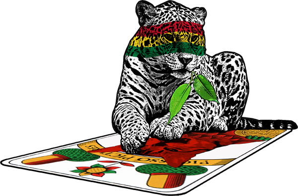 klub-48--No Stresaran Santa Cruz