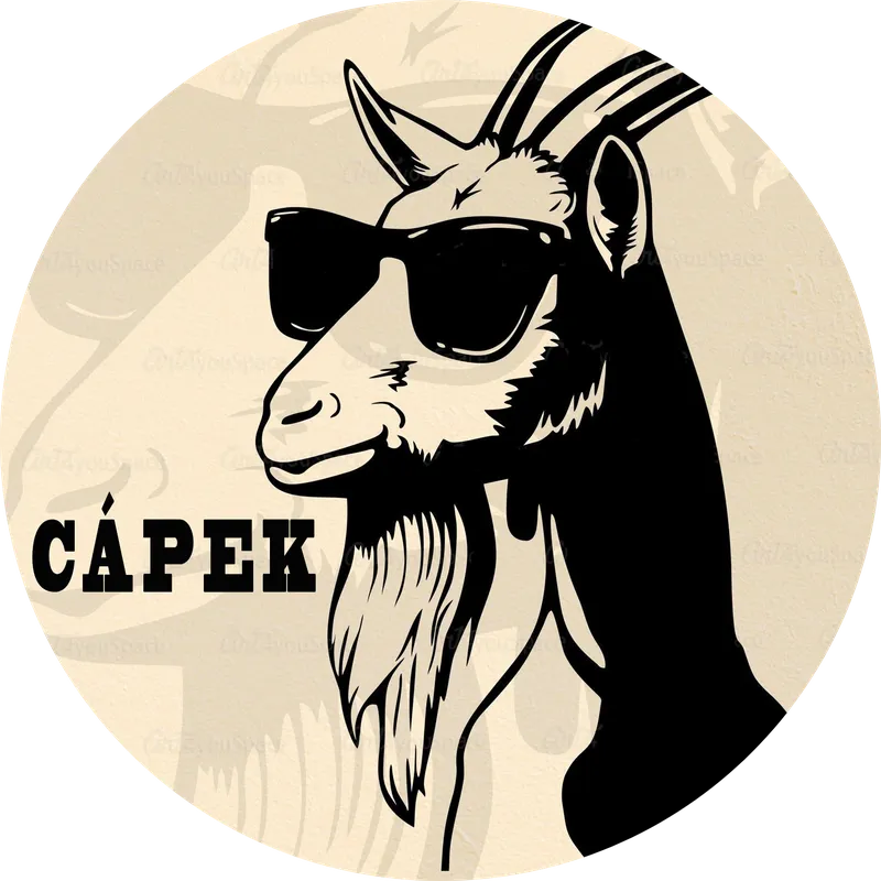 placka-20-CAPEK-kozlovna