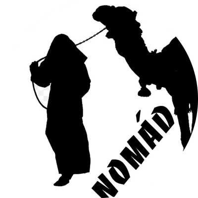 placka-20-NOMAD