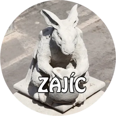 placka-22-ZAJIC-copo-do-monteiro