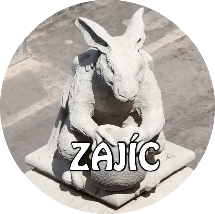 placka-22-ZAJIC-copo-do-monteiro