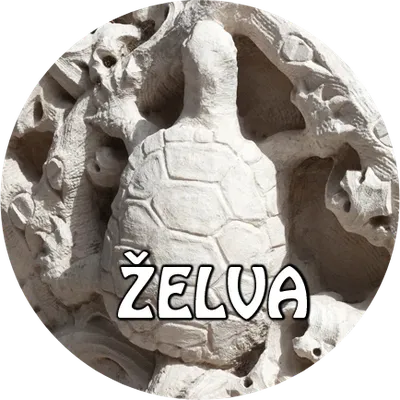 placka-22-ZELVA-copo-do-monteiro