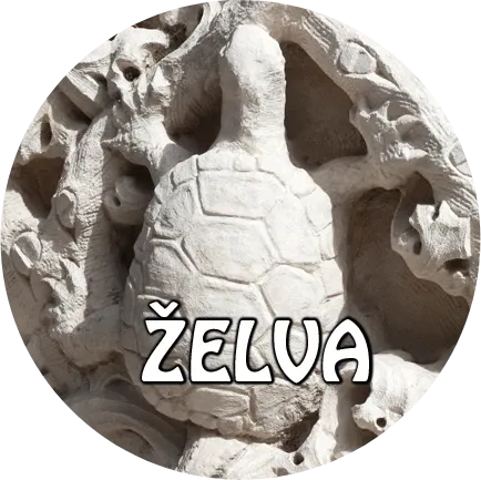 placka-22-ZELVA-copo-do-monteiro