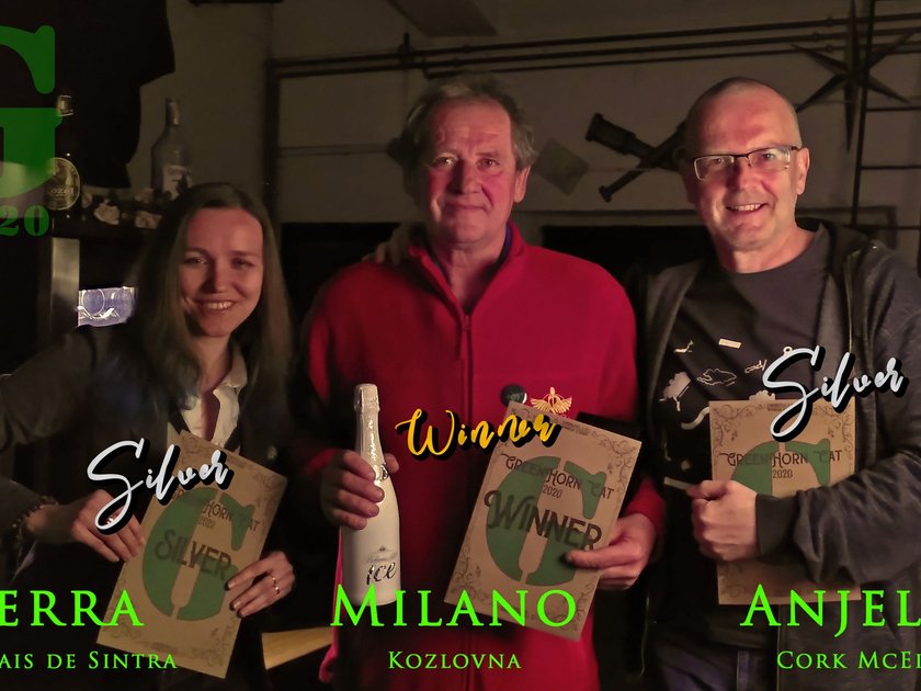 sc-greenhorn-cat-2020-winners