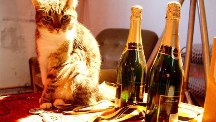 team-championship-2015-chingiss