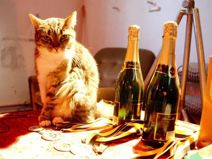 Team Championship 2015