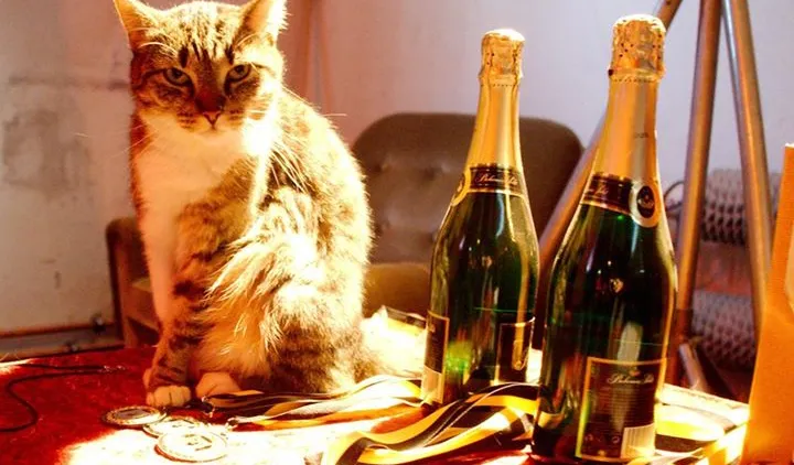 Team Championship 2015